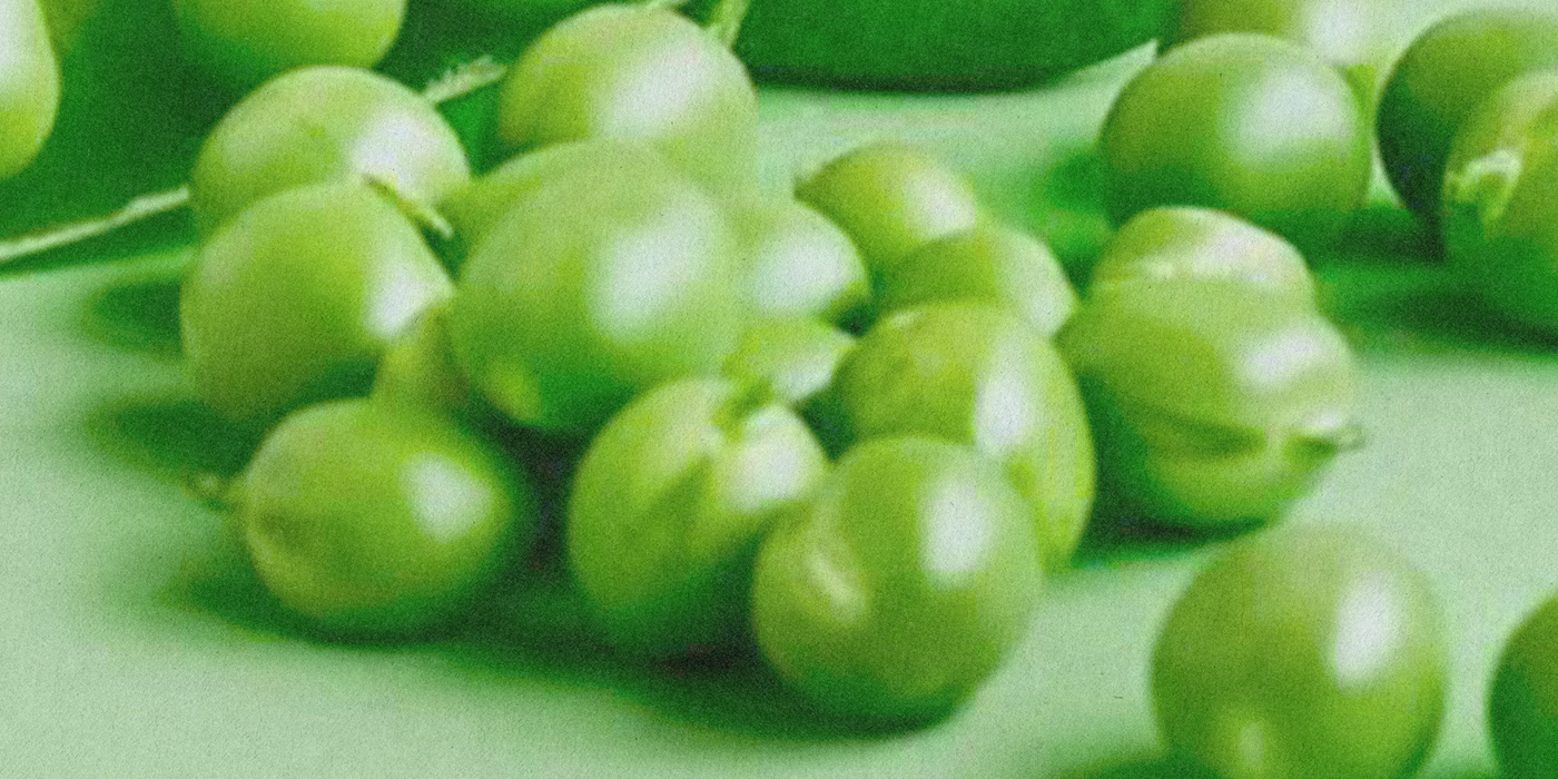 Pea Protein Peptides